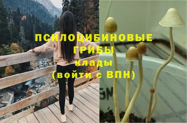 прущие крисы Инта